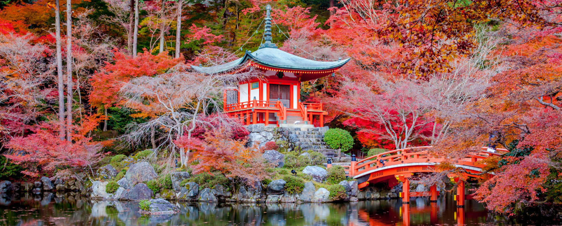 Our guide to Japan
