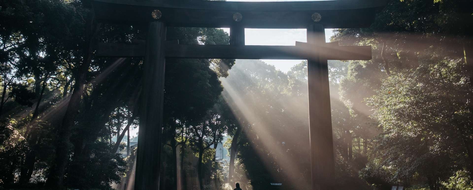 Yoyogi Park 