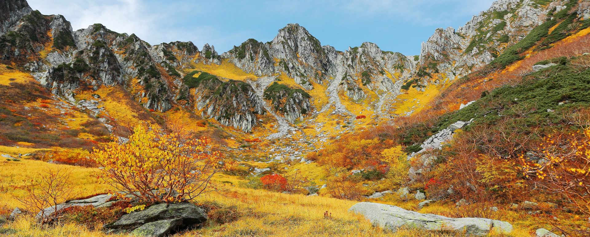 Autumn scenery 