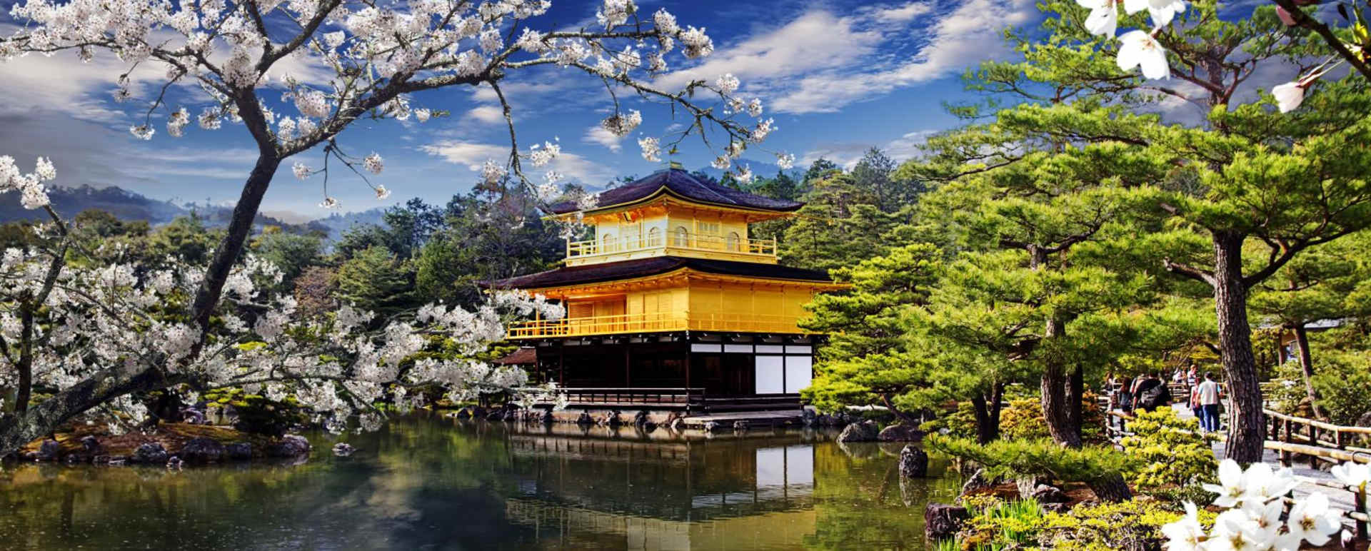 Golen Pavillion, Kyoto  - Cherry Blossom in Japan