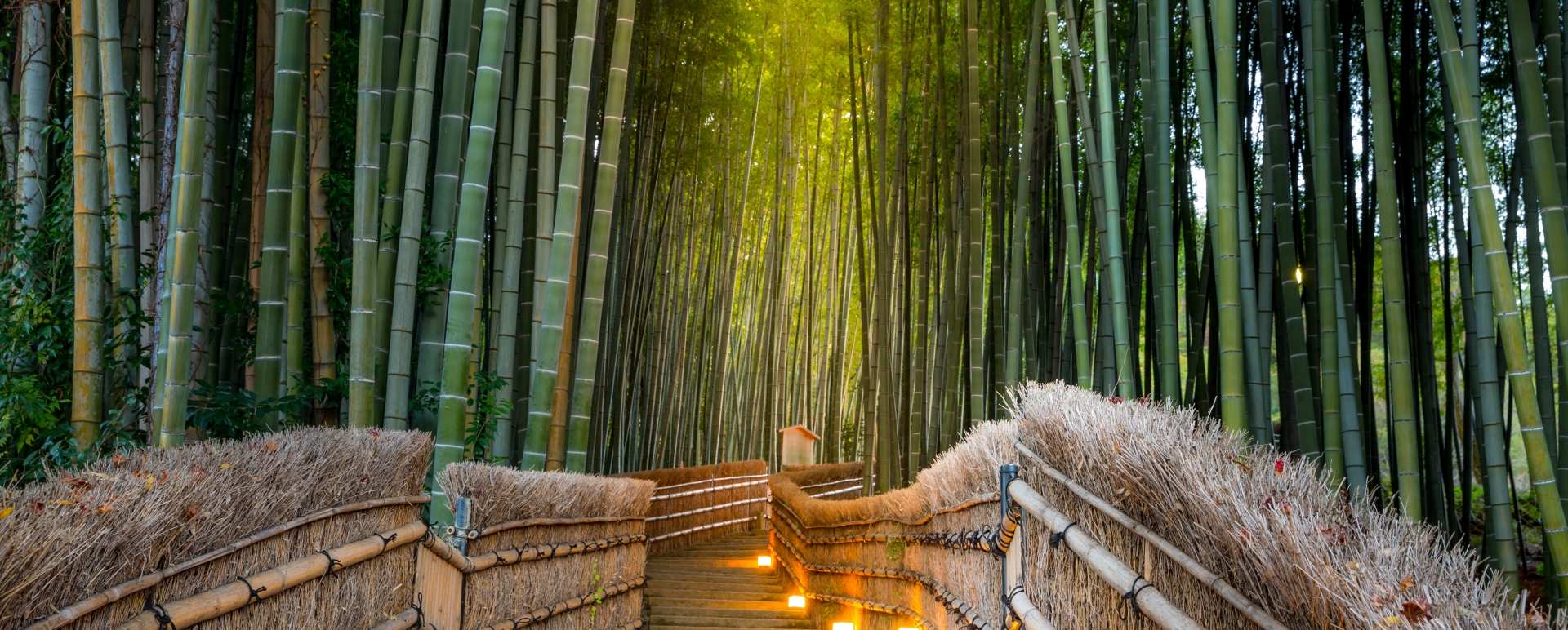 Kyoto - Authentic Japan
