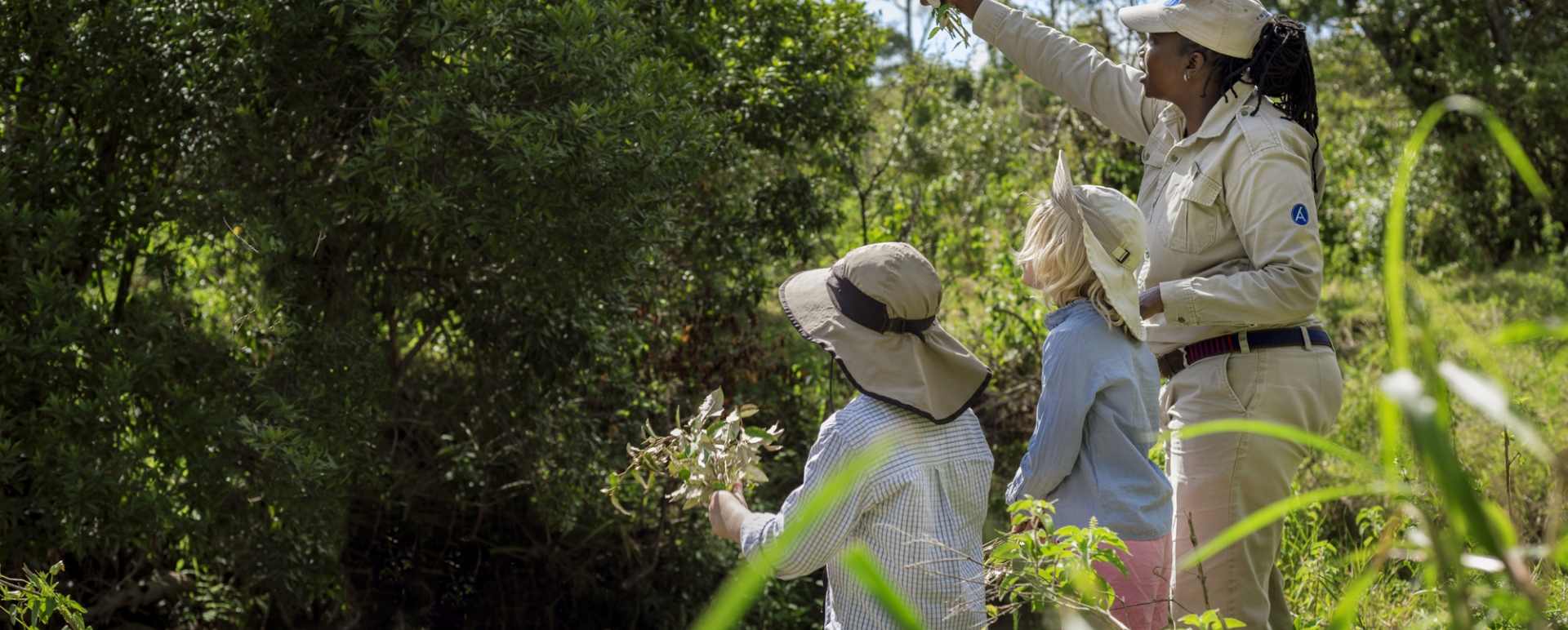 Angama Safari Camp - Nature Lessons 