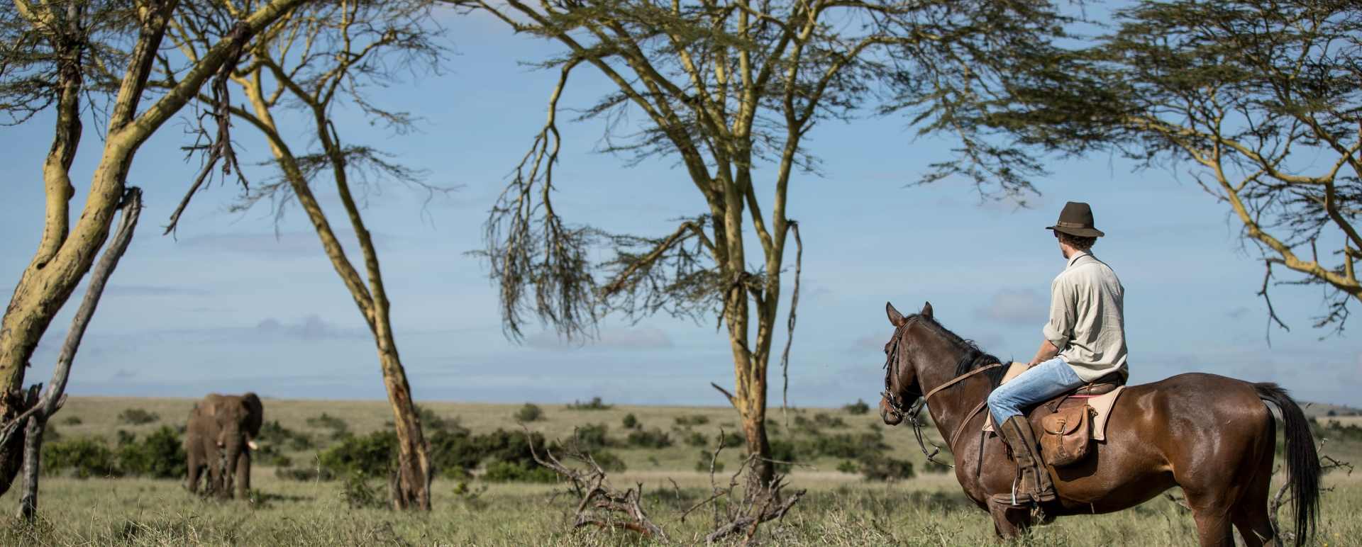 Horse riding 