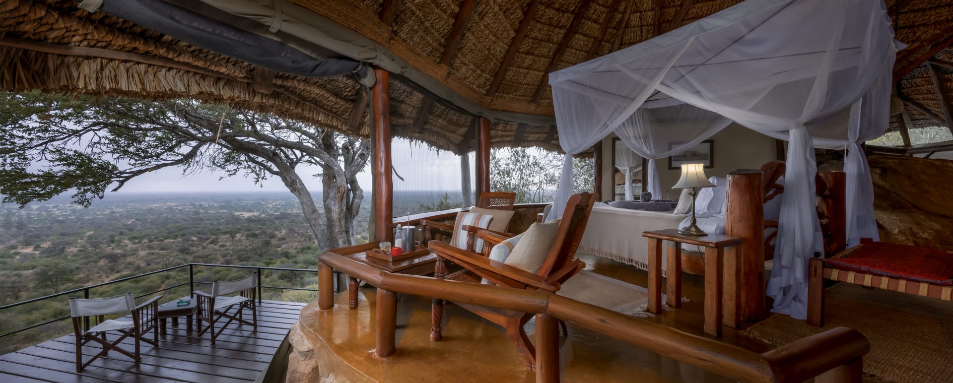 Safari Suite 