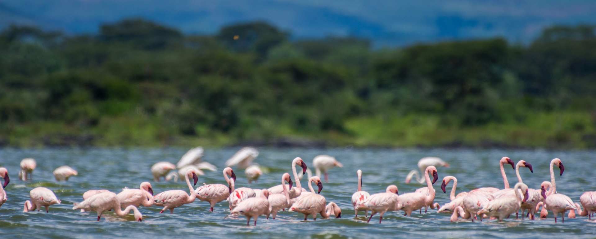 Lake Elementaita