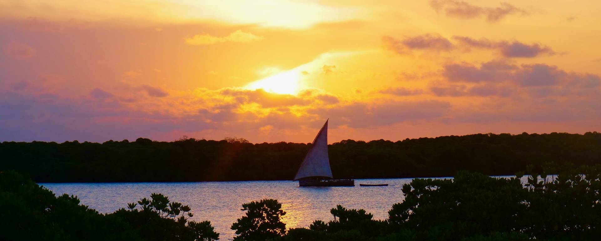 Dhow at sunset 