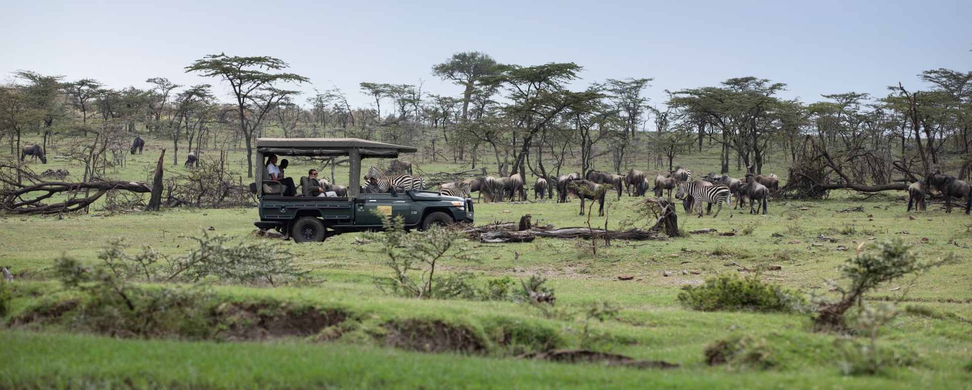 Game drives 
