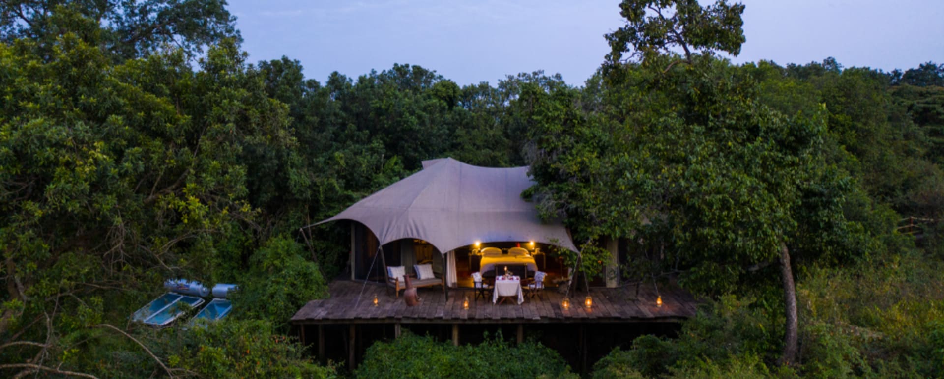 Room in trees  