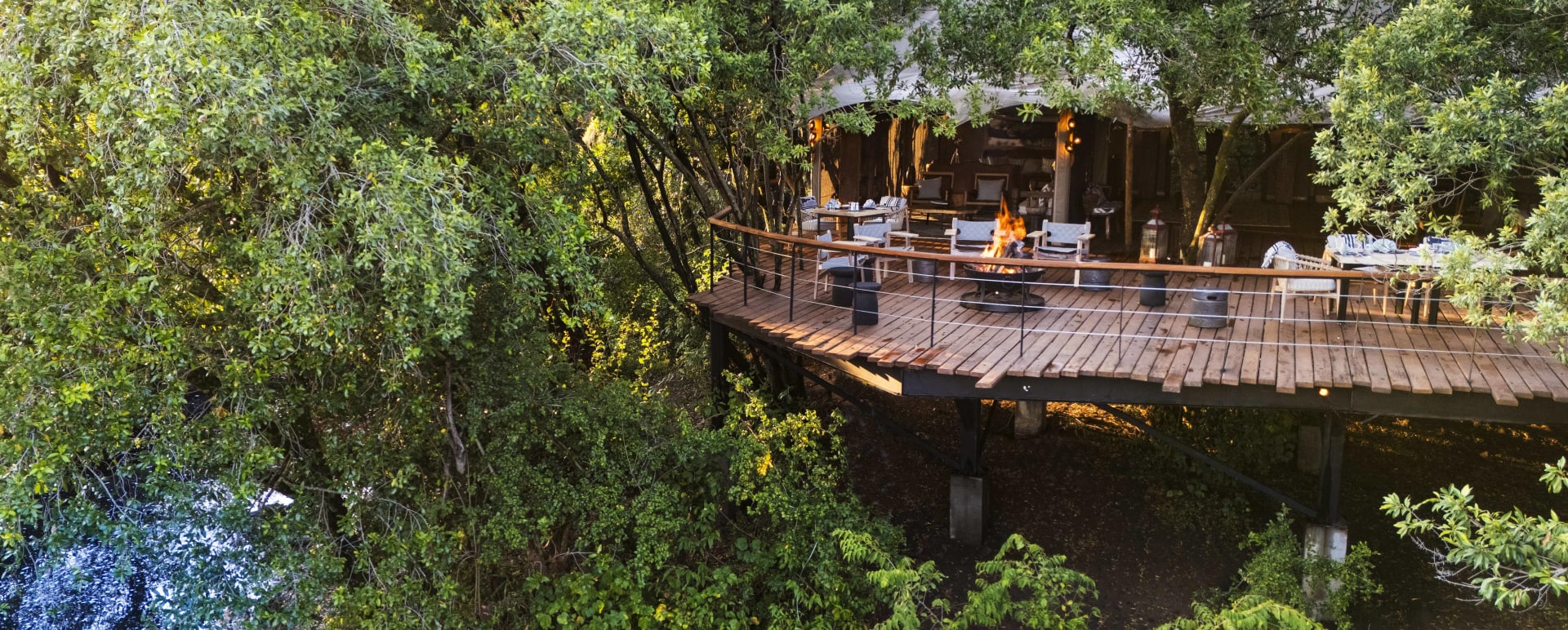 Main area in Forest canopy 