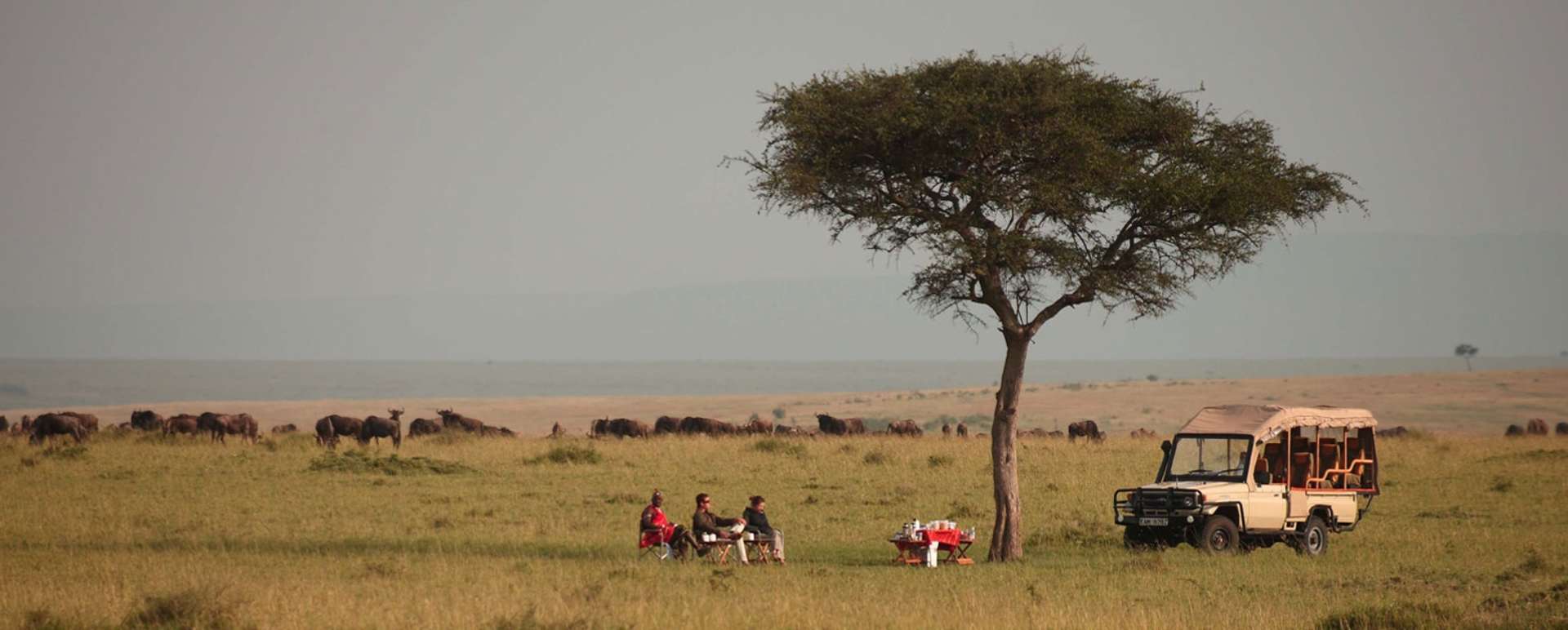 Game drive drinks - Naibor