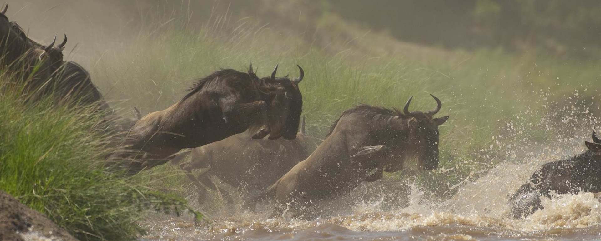 A crossing - Offbeat Mara Camp