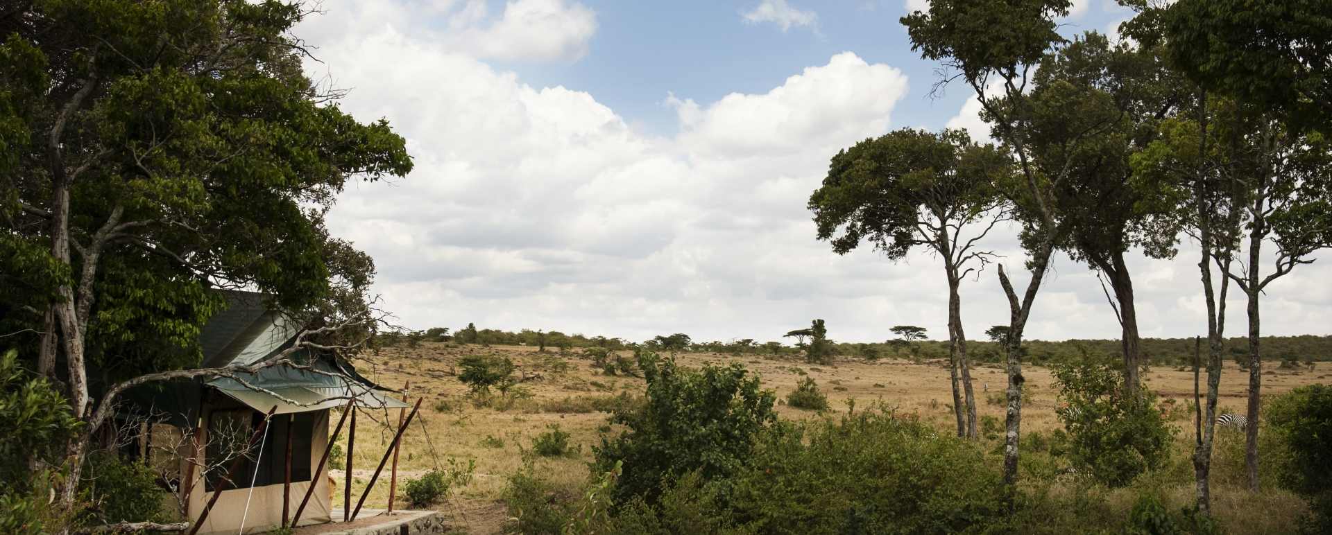 View from Room - Offbeat Mara Camp