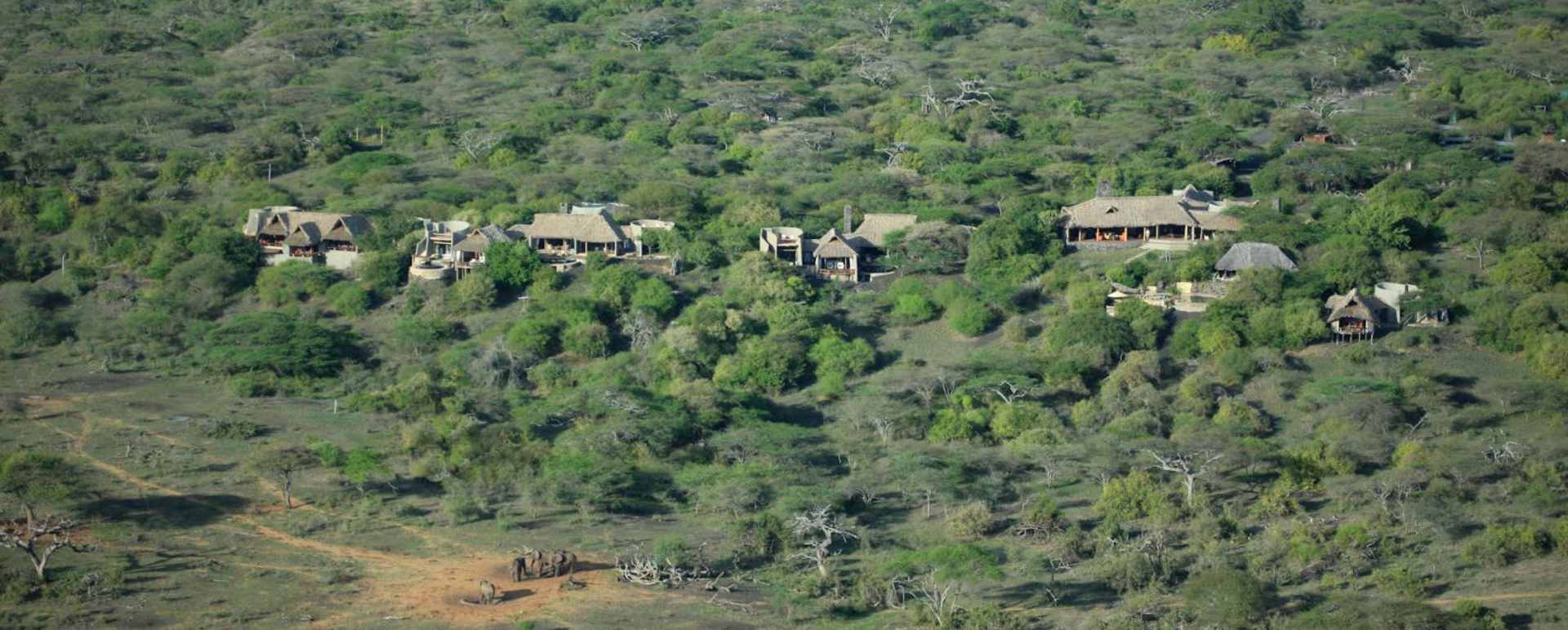 Zebra - Ol Donyo Lodge
