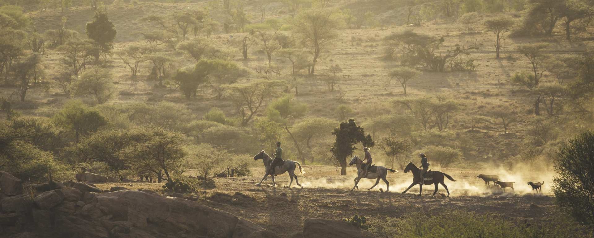 Horse riding - Ol Malo