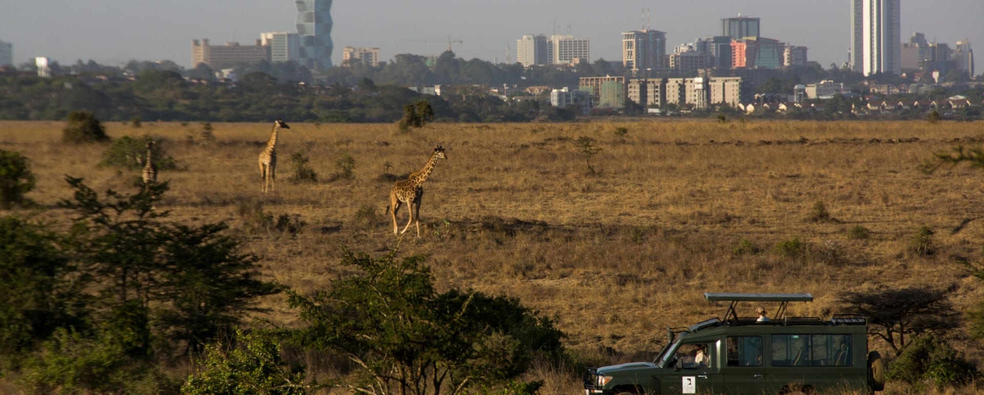 Game drive 