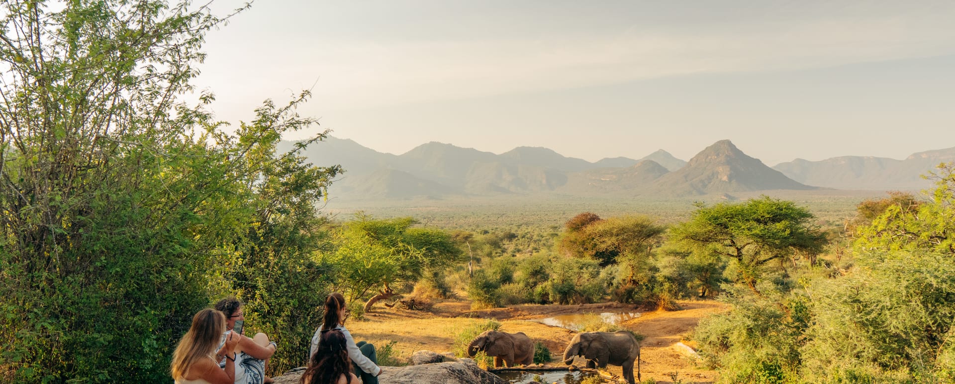 Waterhole 