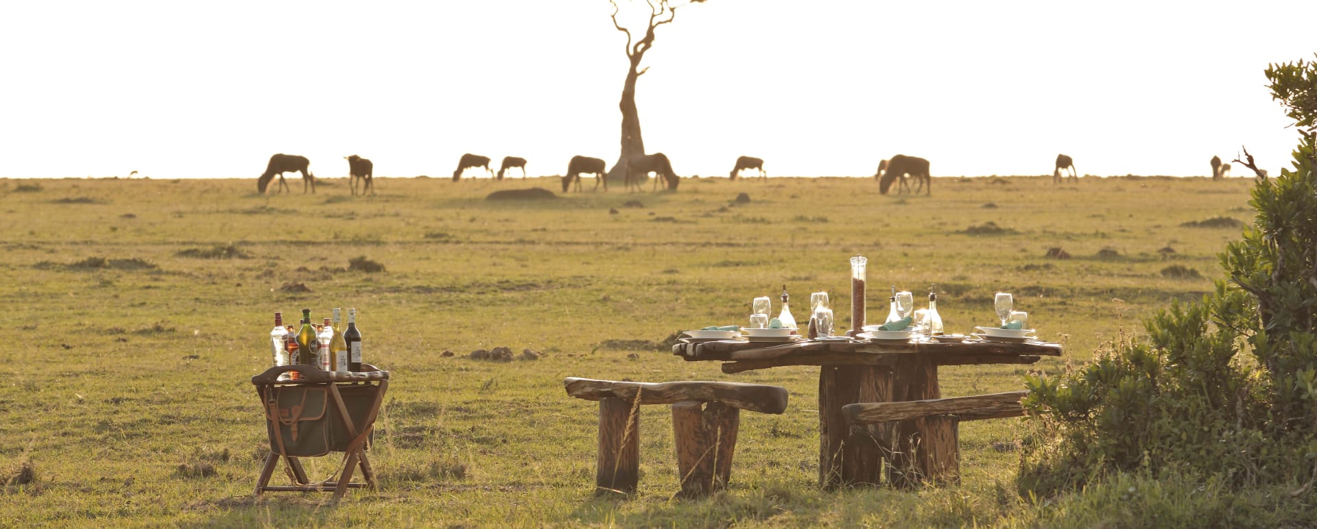 Outside dining 