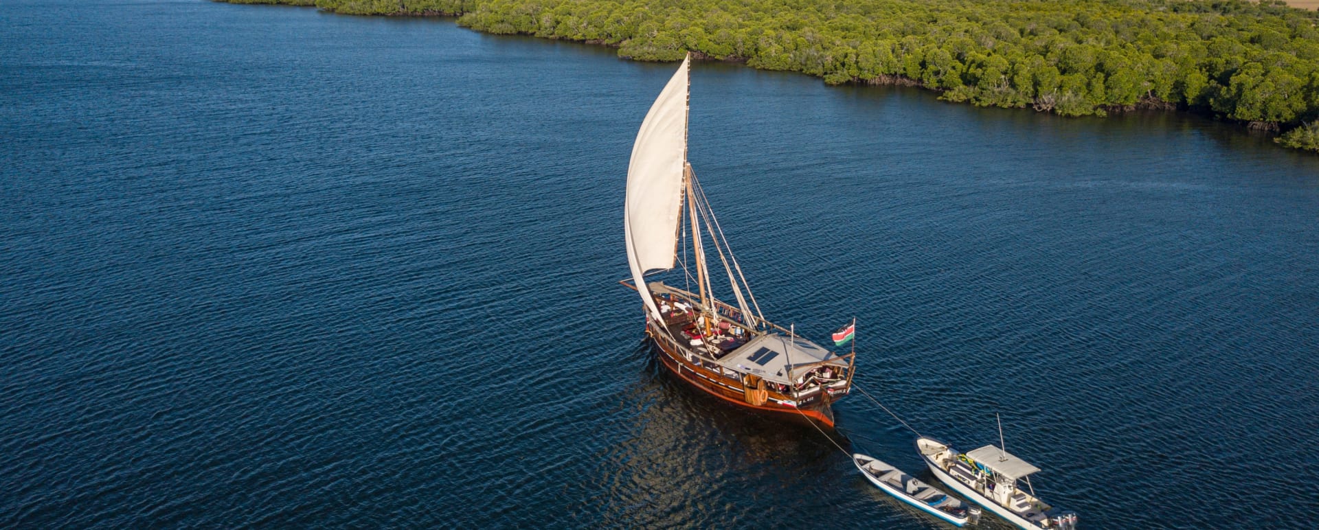 Dhow sailing mangroves  