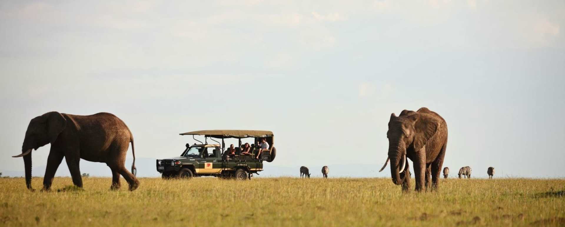 Game Drives the Mara Ecosystem