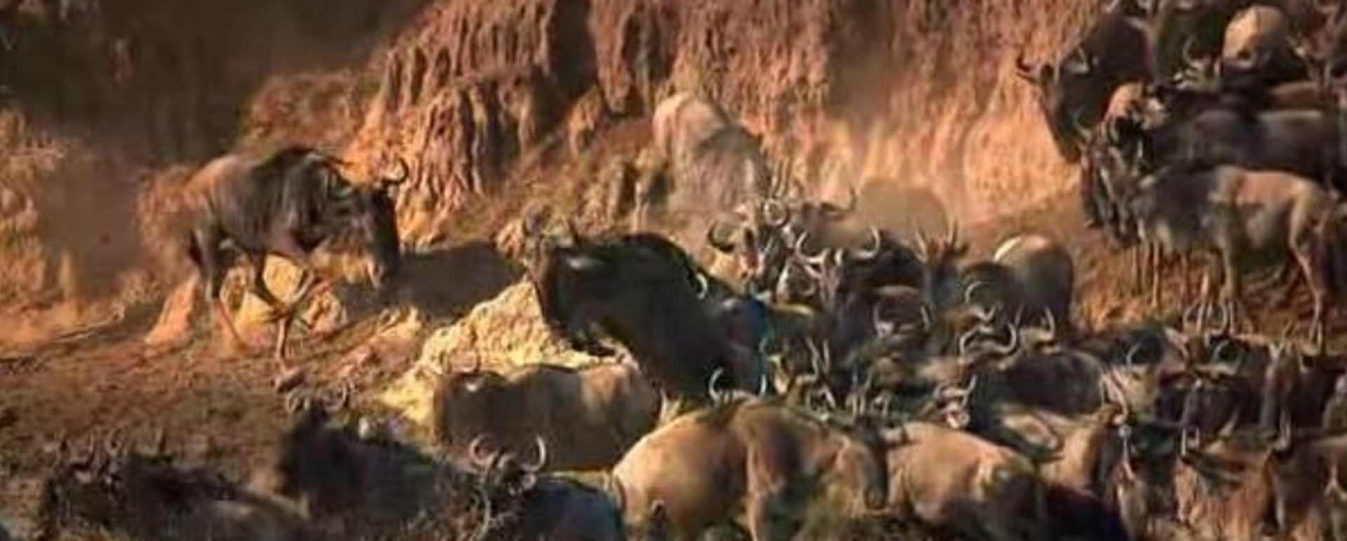 The Great Migration