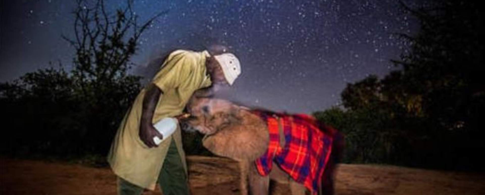 The David Sheldrick Wildlife Trust