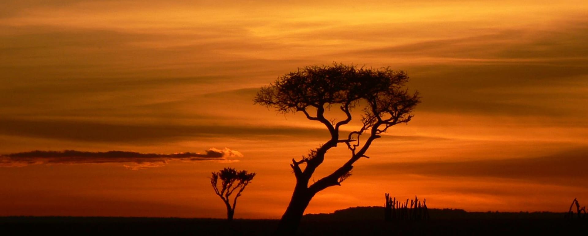 Kenyan Sunset - Romance and Luxury for your Honeymoon