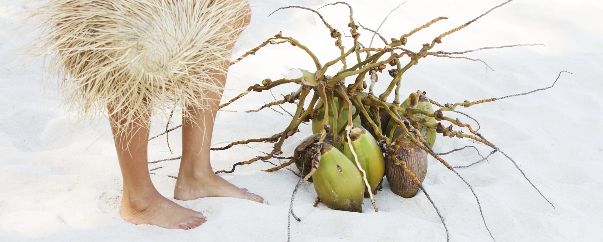 Coconuts on the beach  