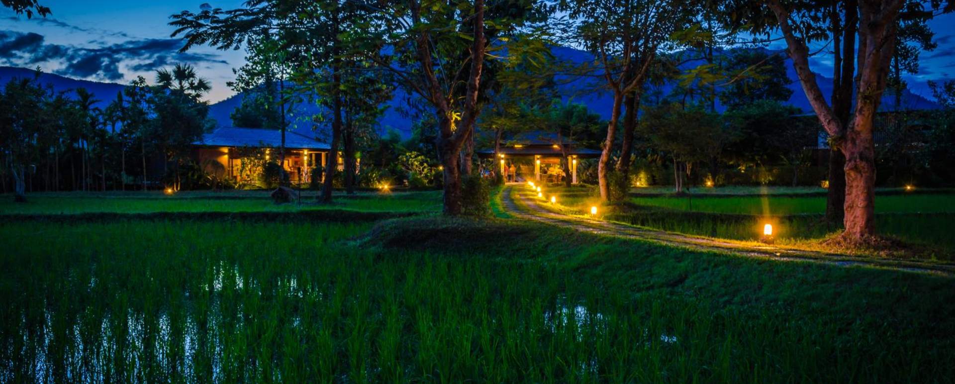 View at night - The River Resort