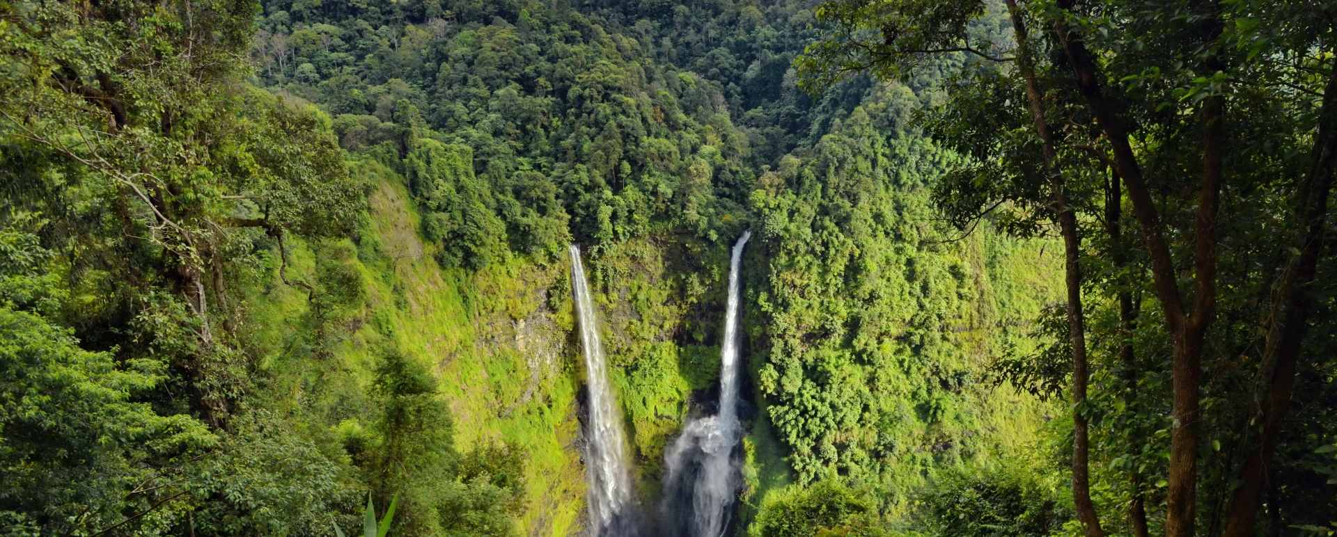 Bolaven Plateau 