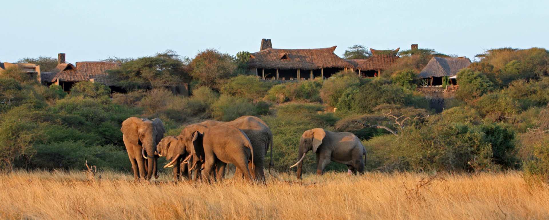 Great Plains Conservation