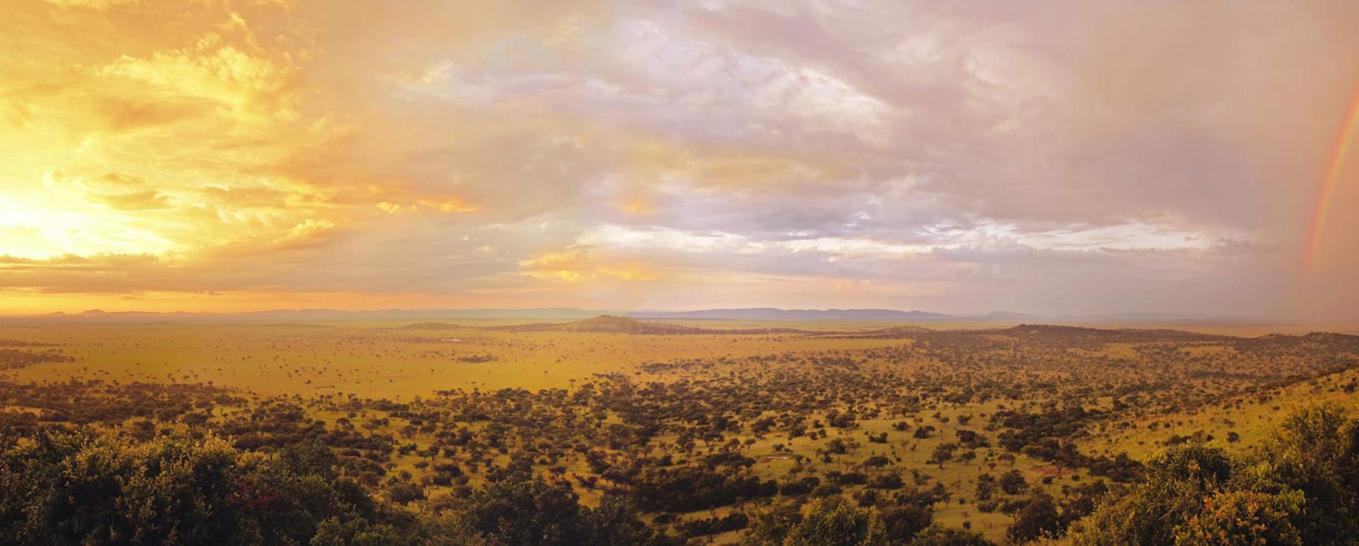 Nomad Tanzania