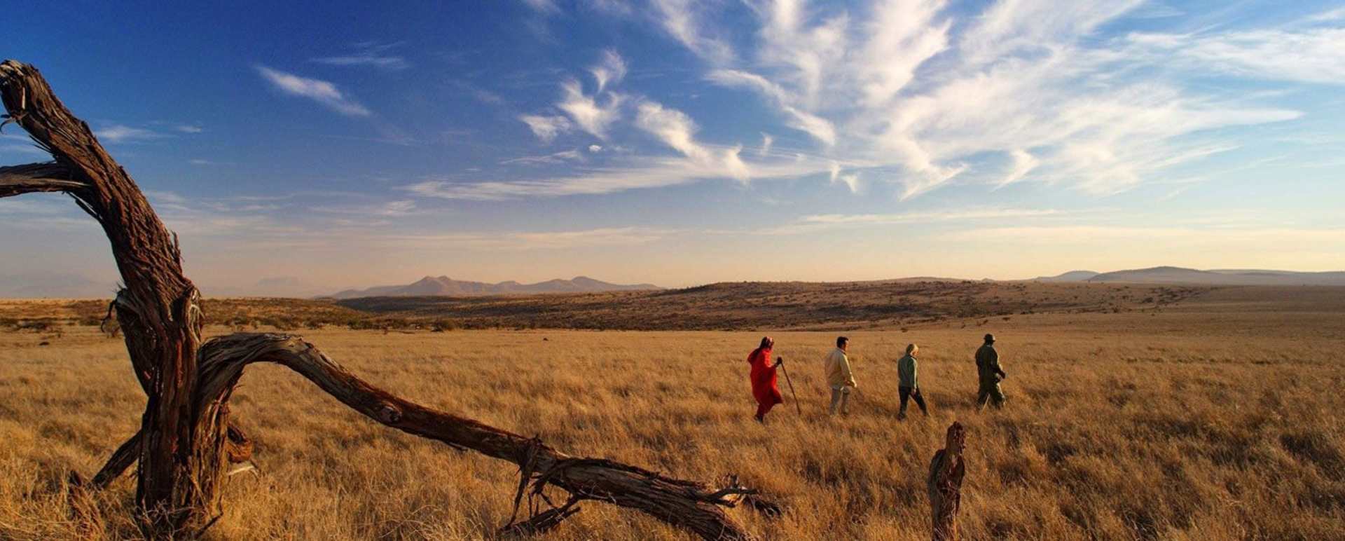 Walking Holidays