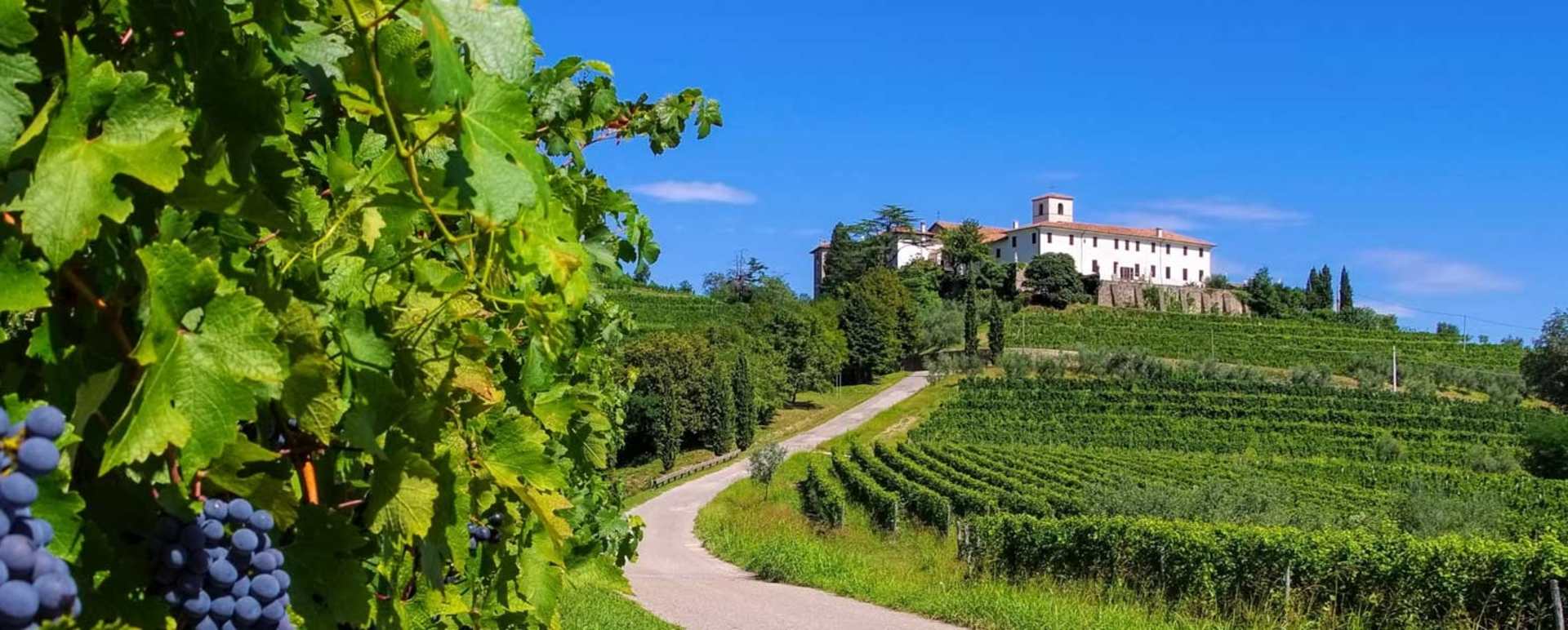 Foodie Road Trips