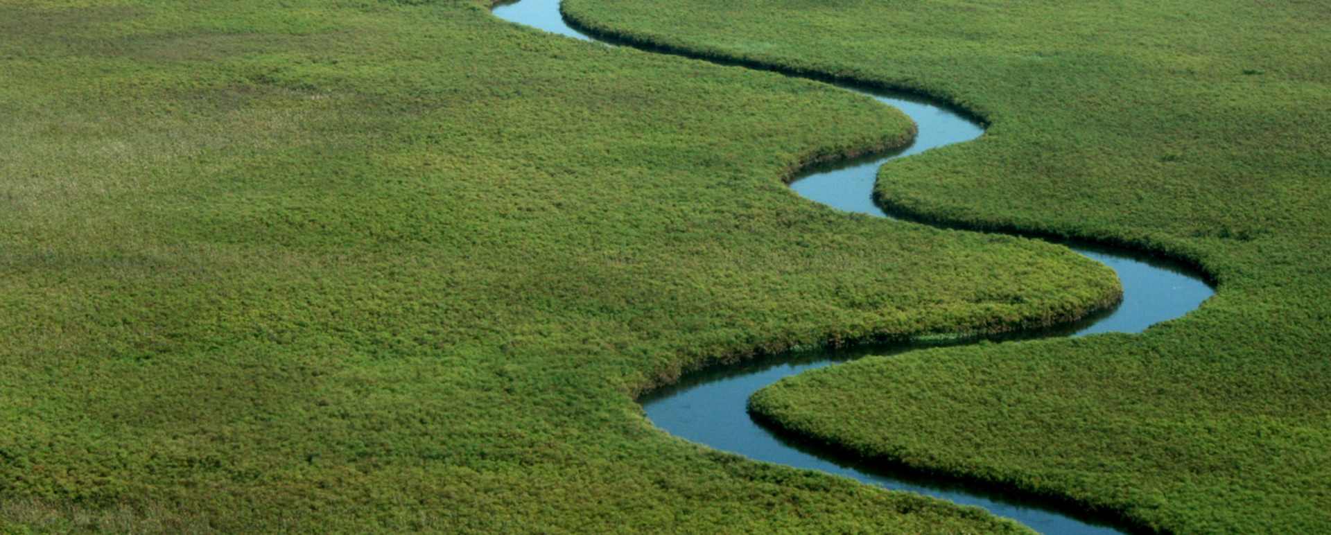 Wilderness Safaris