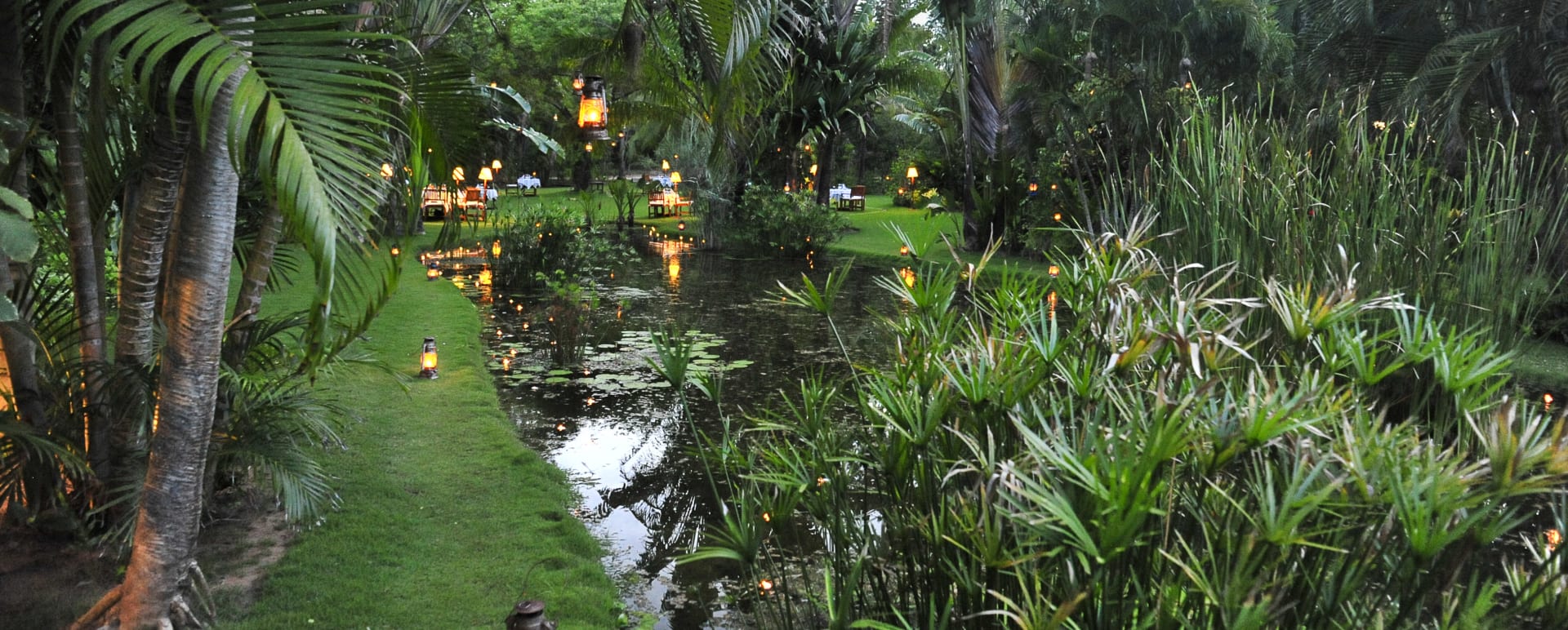 Oasis 