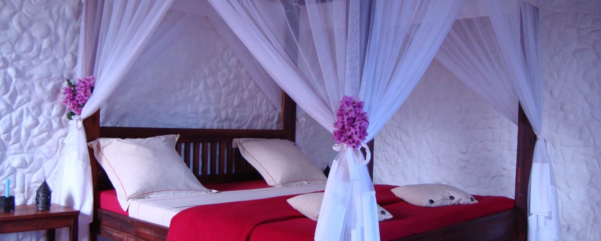 Guestroom - The Litchi Tree