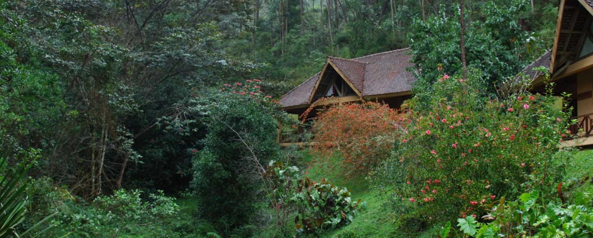 Exterior - Vakona Forest Lodge