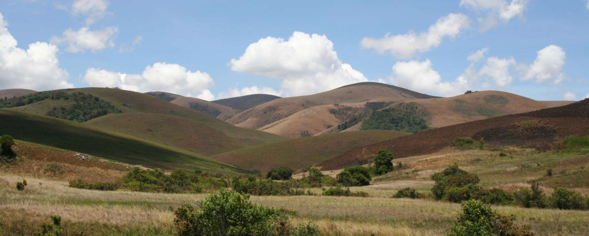 Nyika National Park - Chelinda Lodge