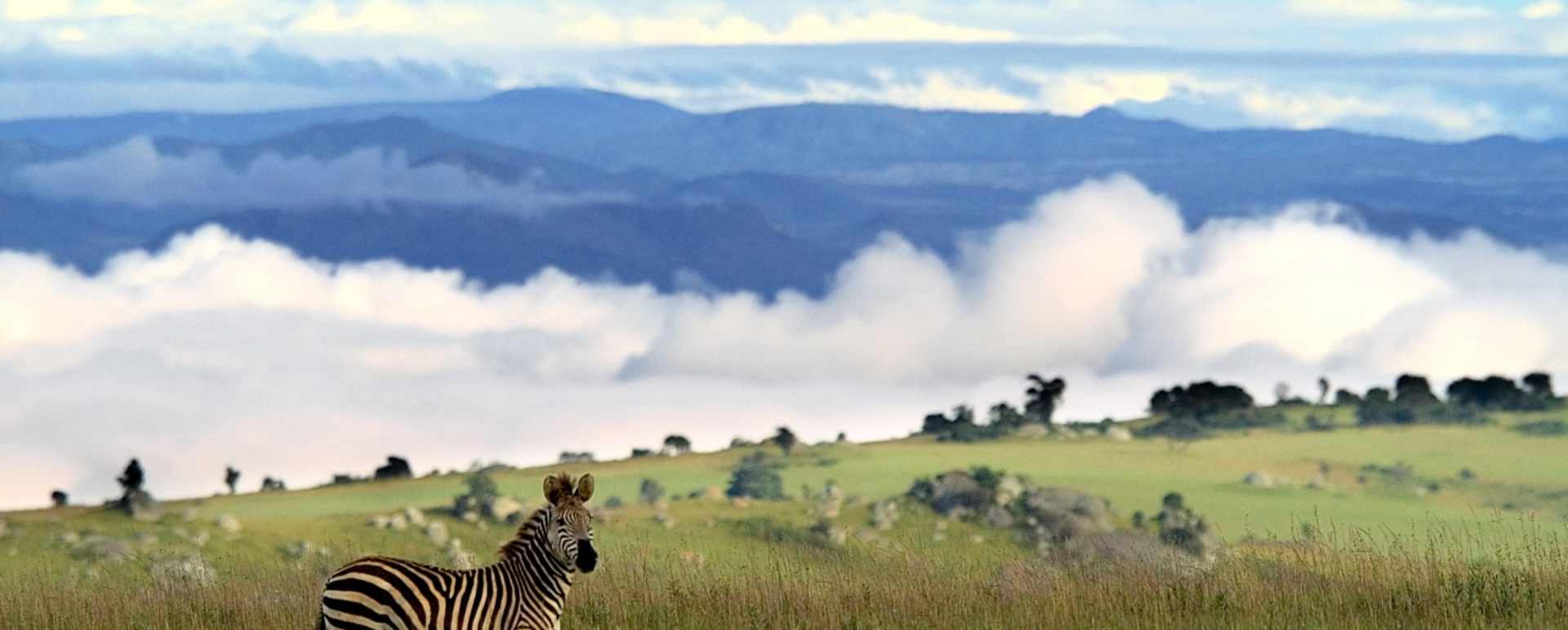 Views forever - Chelinda Lodge