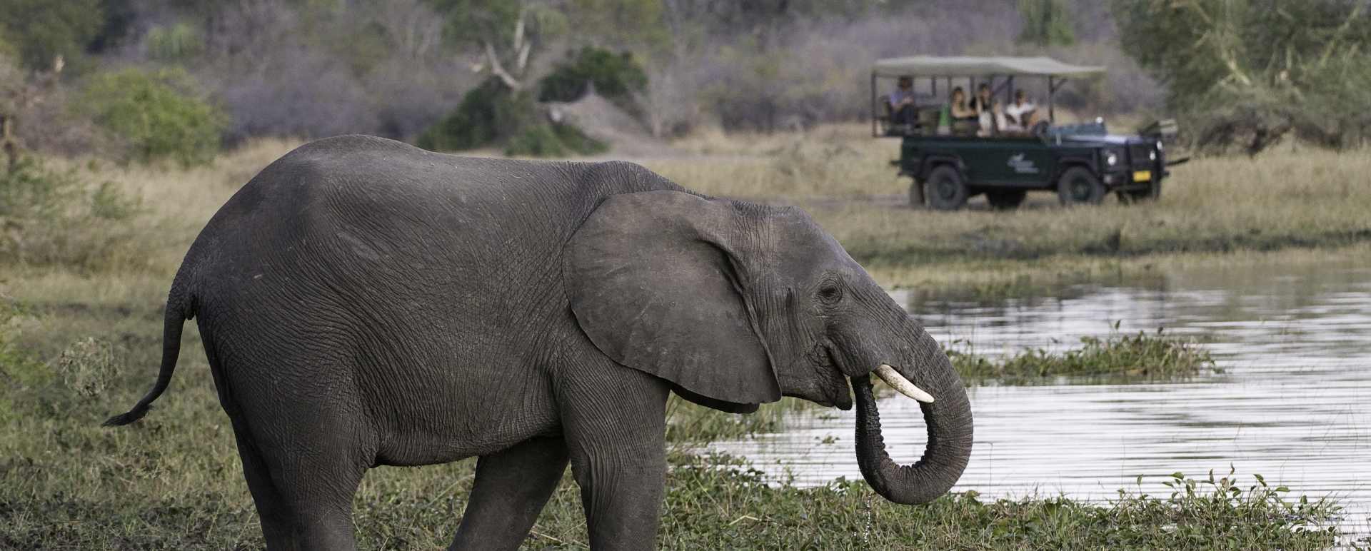 Game drive in Liwonde 