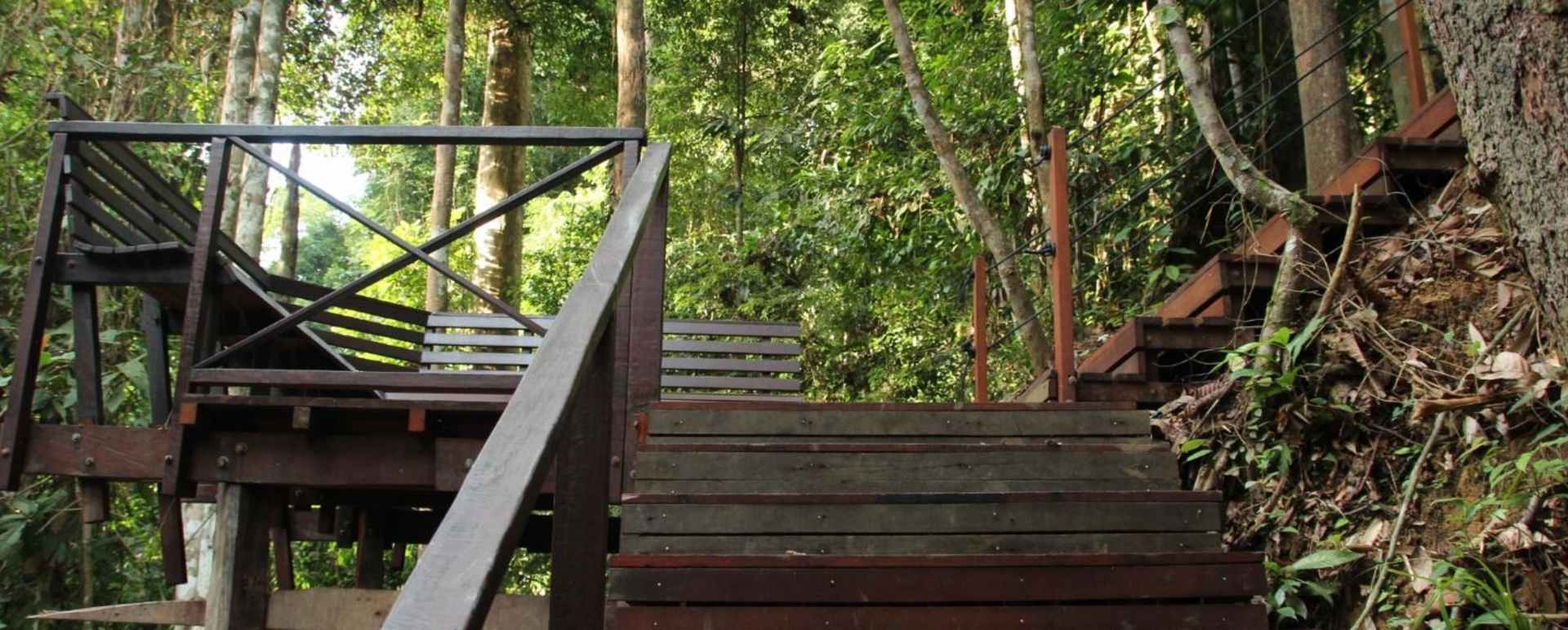 Boardwalk - MY Nature Resort