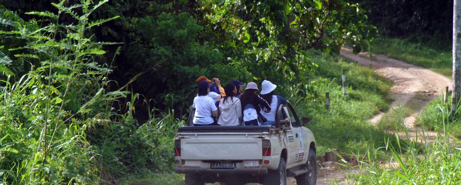 Game Drive - Tabin Wildlife Resort