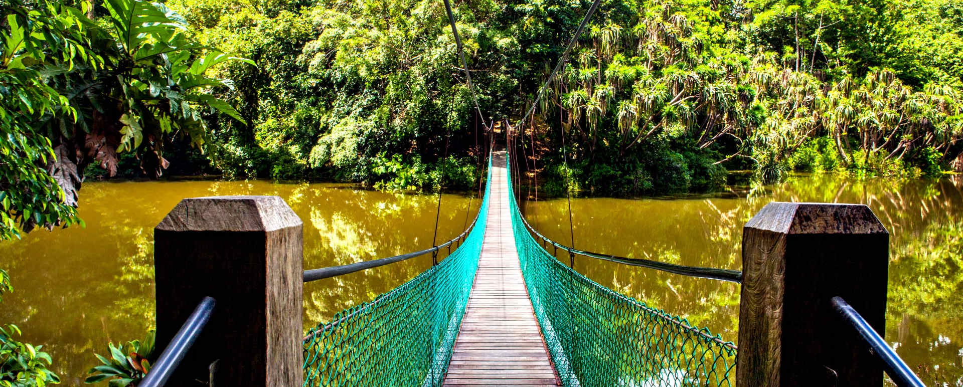 Borneo Adventure 