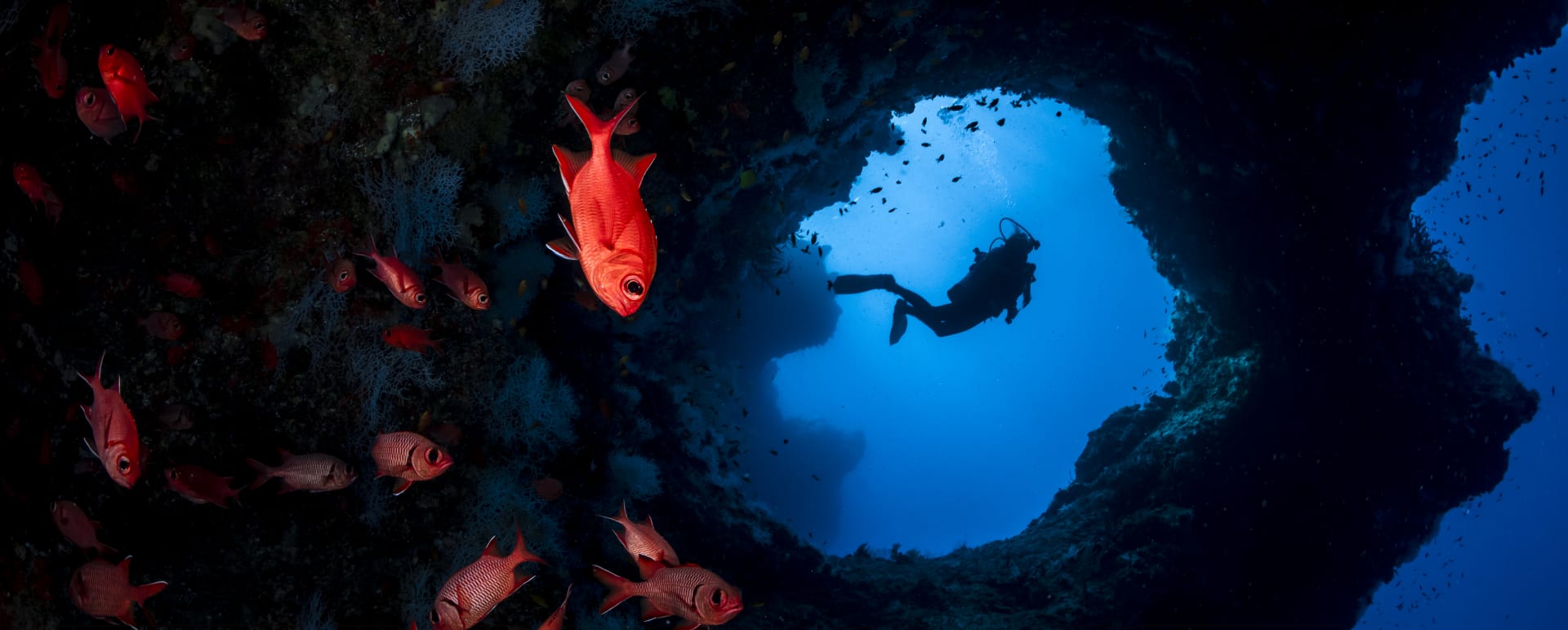 CaveOverhangs 