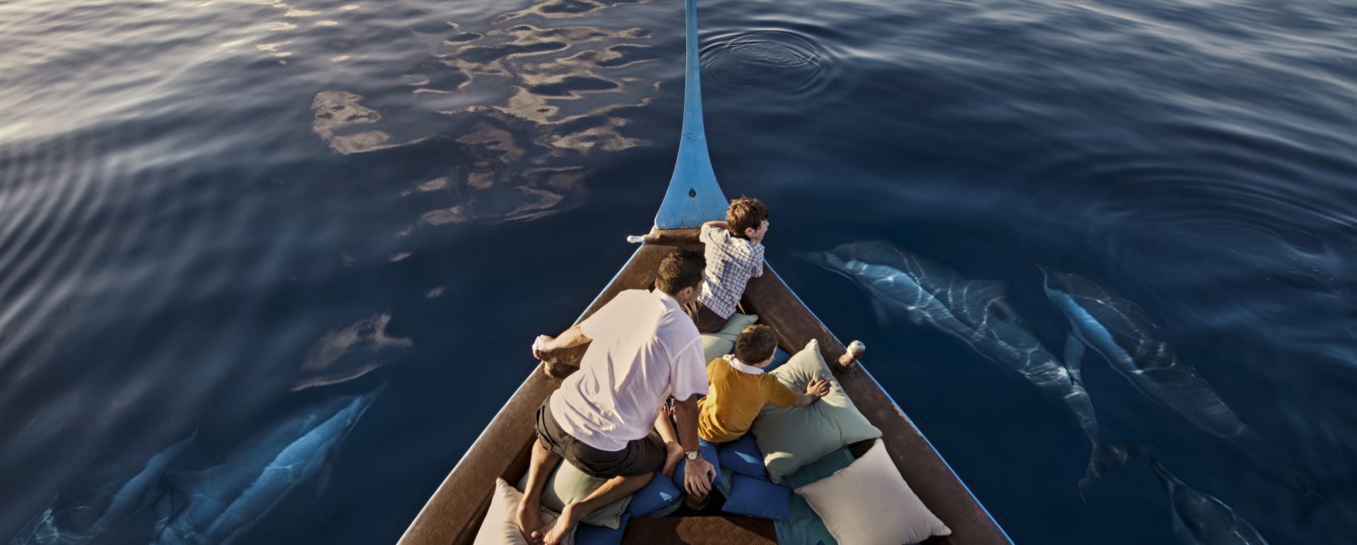 Dolphin Cruise 
