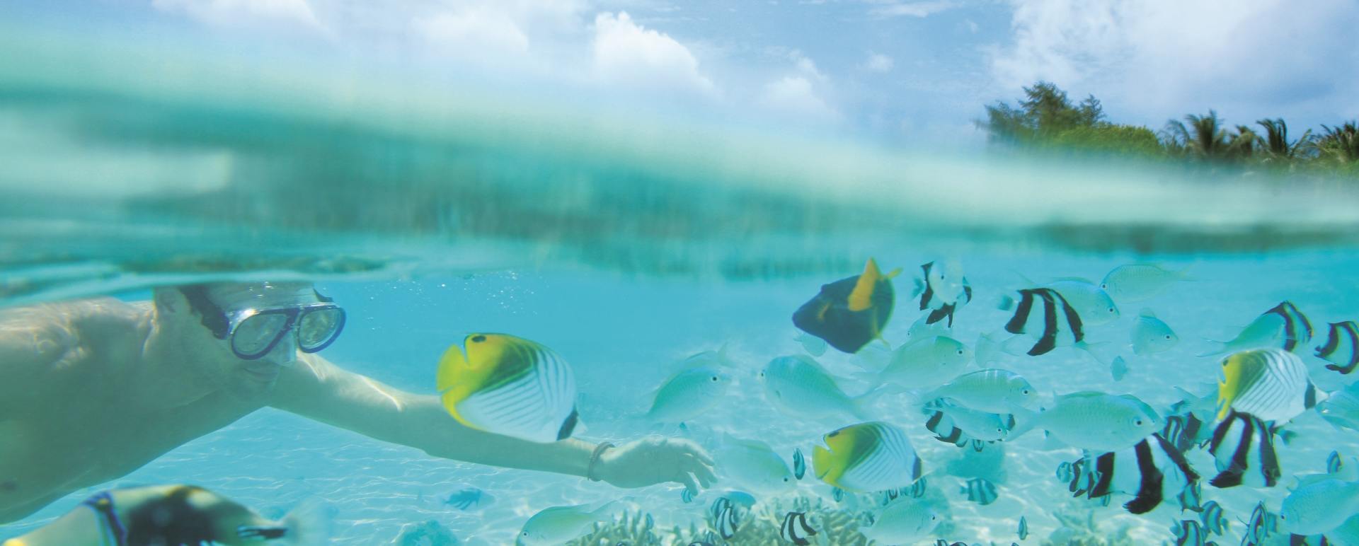 LUX South Ari Atoll 