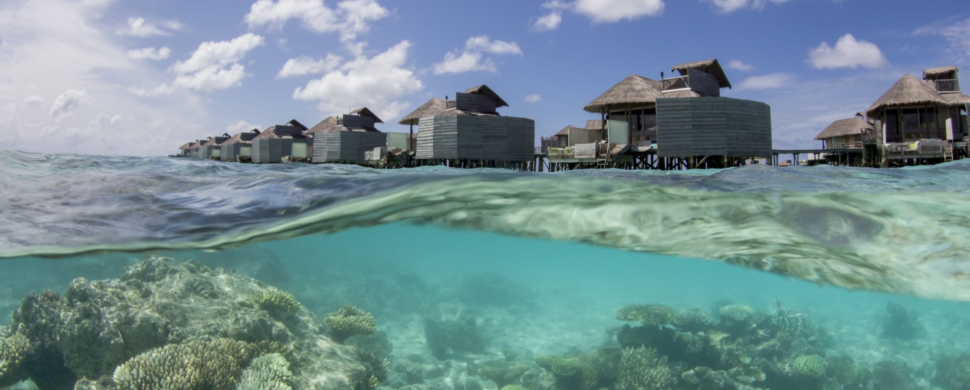 water villa and reef 