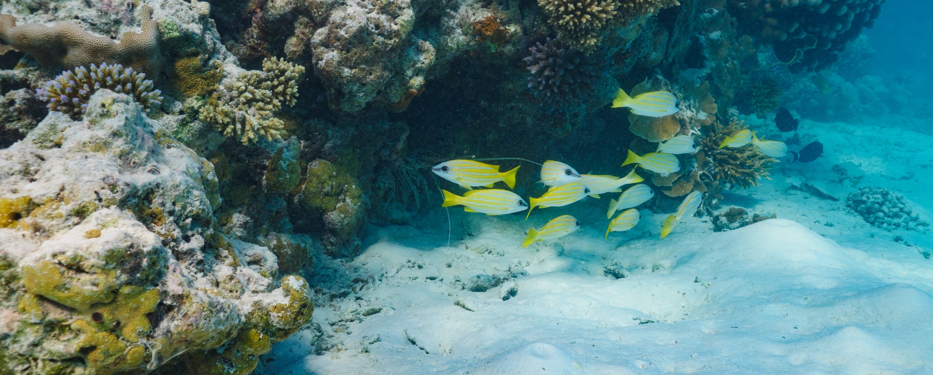  Underwater 
