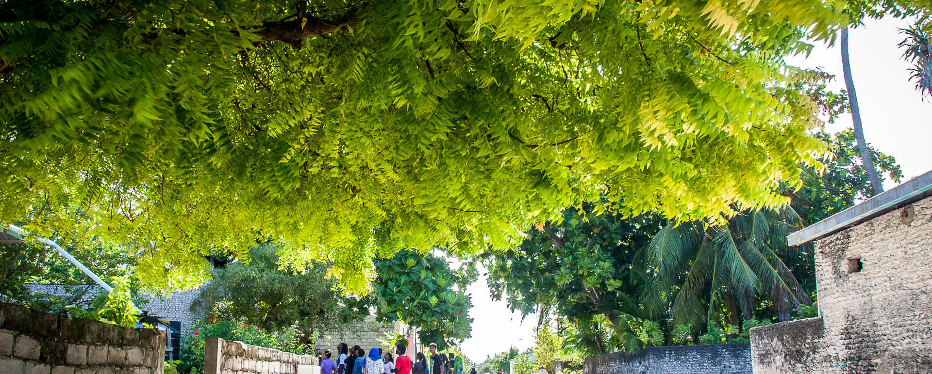 Eydhafushi Island Visit