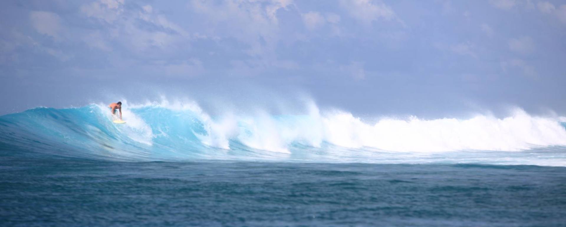 Surfing 